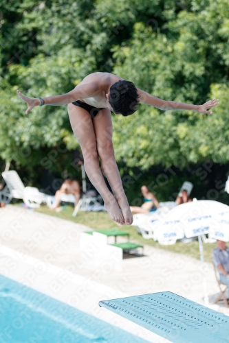 2017 - 8. Sofia Diving Cup 2017 - 8. Sofia Diving Cup 03012_06047.jpg