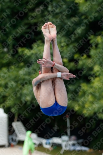 2017 - 8. Sofia Diving Cup 2017 - 8. Sofia Diving Cup 03012_06106.jpg