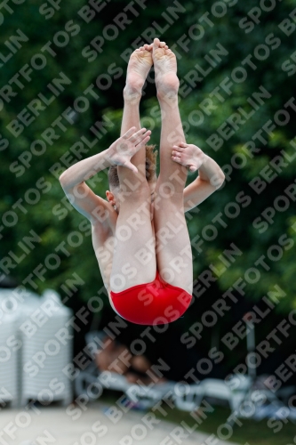 2017 - 8. Sofia Diving Cup 2017 - 8. Sofia Diving Cup 03012_06452.jpg