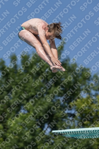 2017 - 8. Sofia Diving Cup 2017 - 8. Sofia Diving Cup 03012_06705.jpg