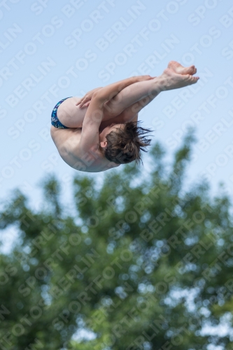 2017 - 8. Sofia Diving Cup 2017 - 8. Sofia Diving Cup 03012_06805.jpg