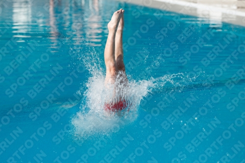 2017 - 8. Sofia Diving Cup 2017 - 8. Sofia Diving Cup 03012_06890.jpg