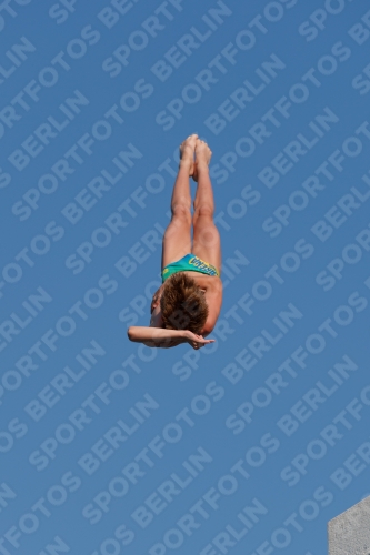 2017 - 8. Sofia Diving Cup 2017 - 8. Sofia Diving Cup 03012_07404.jpg