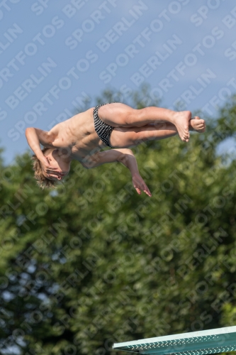 2017 - 8. Sofia Diving Cup 2017 - 8. Sofia Diving Cup 03012_07442.jpg