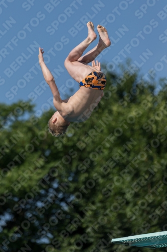 2017 - 8. Sofia Diving Cup 2017 - 8. Sofia Diving Cup 03012_07505.jpg