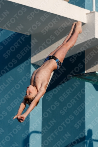 2017 - 8. Sofia Diving Cup 2017 - 8. Sofia Diving Cup 03012_07651.jpg