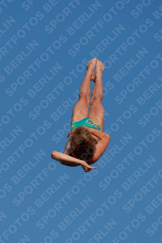 2017 - 8. Sofia Diving Cup 2017 - 8. Sofia Diving Cup 03012_07763.jpg