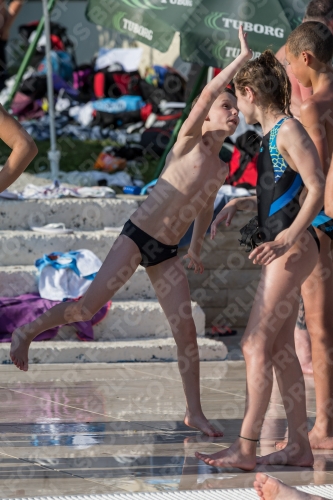 2017 - 8. Sofia Diving Cup 2017 - 8. Sofia Diving Cup 03012_07920.jpg