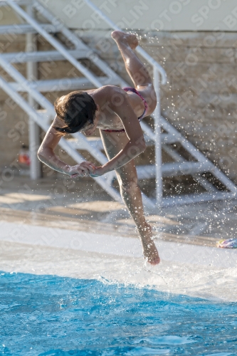 2017 - 8. Sofia Diving Cup 2017 - 8. Sofia Diving Cup 03012_08210.jpg