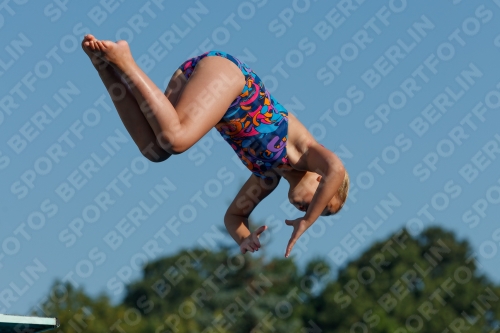 2017 - 8. Sofia Diving Cup 2017 - 8. Sofia Diving Cup 03012_08309.jpg