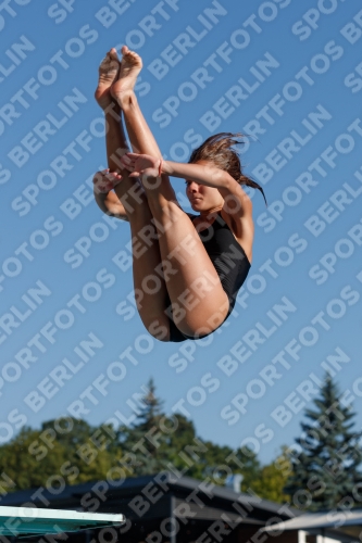 2017 - 8. Sofia Diving Cup 2017 - 8. Sofia Diving Cup 03012_08326.jpg