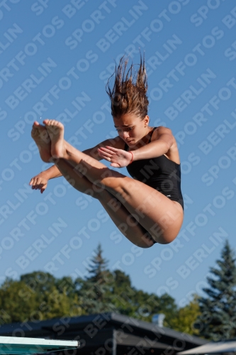 2017 - 8. Sofia Diving Cup 2017 - 8. Sofia Diving Cup 03012_08327.jpg