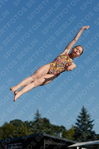 2017 - 8. Sofia Diving Cup 2017 - 8. Sofia Diving Cup 03012_08333.jpg