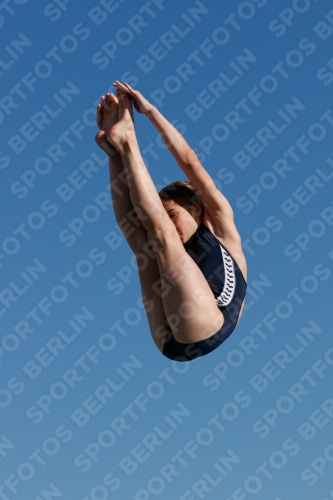 2017 - 8. Sofia Diving Cup 2017 - 8. Sofia Diving Cup 03012_08352.jpg