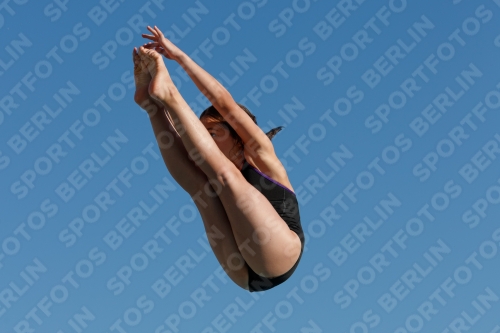 2017 - 8. Sofia Diving Cup 2017 - 8. Sofia Diving Cup 03012_08358.jpg