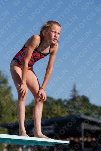 2017 - 8. Sofia Diving Cup 2017 - 8. Sofia Diving Cup 03012_08375.jpg