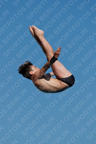 2017 - 8. Sofia Diving Cup 2017 - 8. Sofia Diving Cup 03012_08485.jpg