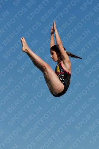 2017 - 8. Sofia Diving Cup 2017 - 8. Sofia Diving Cup 03012_08491.jpg