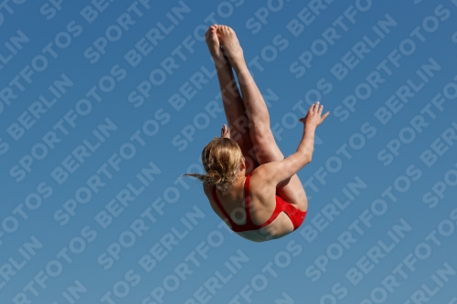 2017 - 8. Sofia Diving Cup 2017 - 8. Sofia Diving Cup 03012_08546.jpg