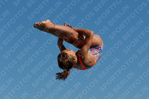 2017 - 8. Sofia Diving Cup 2017 - 8. Sofia Diving Cup 03012_08554.jpg