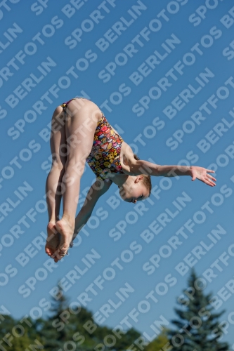 2017 - 8. Sofia Diving Cup 2017 - 8. Sofia Diving Cup 03012_08557.jpg