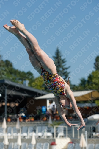 2017 - 8. Sofia Diving Cup 2017 - 8. Sofia Diving Cup 03012_08560.jpg