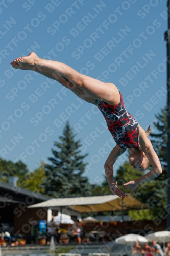 2017 - 8. Sofia Diving Cup 2017 - 8. Sofia Diving Cup 03012_08567.jpg