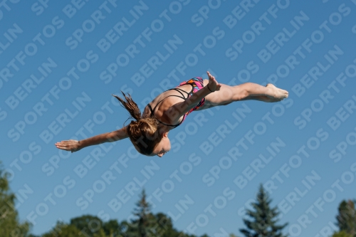 2017 - 8. Sofia Diving Cup 2017 - 8. Sofia Diving Cup 03012_08580.jpg