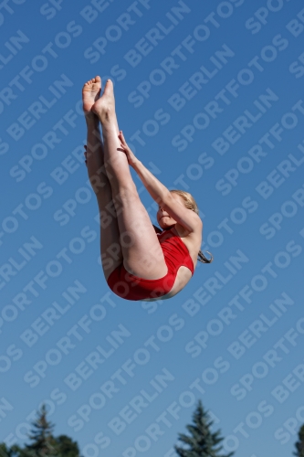 2017 - 8. Sofia Diving Cup 2017 - 8. Sofia Diving Cup 03012_08607.jpg