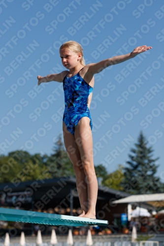 2017 - 8. Sofia Diving Cup 2017 - 8. Sofia Diving Cup 03012_08609.jpg
