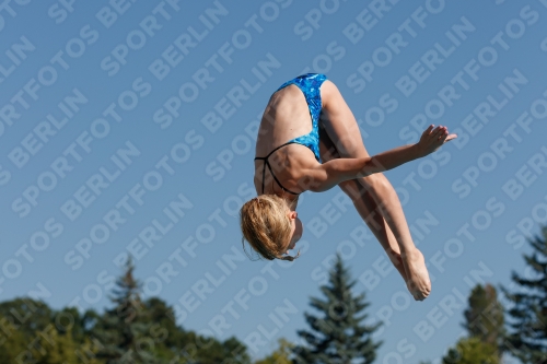 2017 - 8. Sofia Diving Cup 2017 - 8. Sofia Diving Cup 03012_08614.jpg