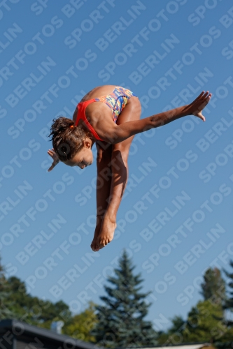 2017 - 8. Sofia Diving Cup 2017 - 8. Sofia Diving Cup 03012_08621.jpg