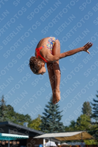 2017 - 8. Sofia Diving Cup 2017 - 8. Sofia Diving Cup 03012_08622.jpg