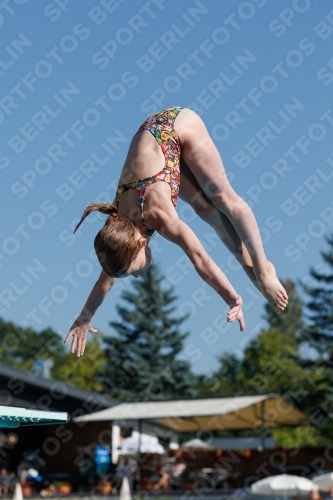 2017 - 8. Sofia Diving Cup 2017 - 8. Sofia Diving Cup 03012_08639.jpg