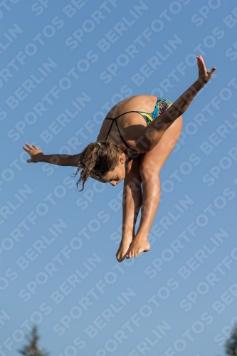 2017 - 8. Sofia Diving Cup 2017 - 8. Sofia Diving Cup 03012_08642.jpg