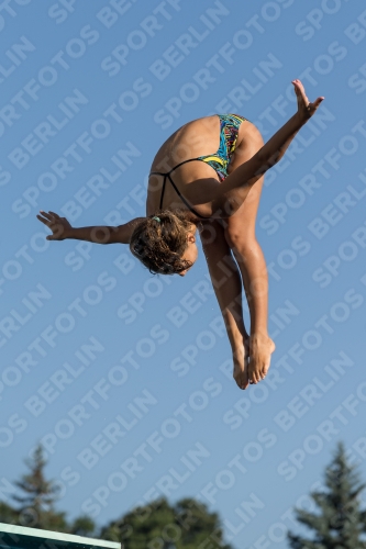 2017 - 8. Sofia Diving Cup 2017 - 8. Sofia Diving Cup 03012_08643.jpg