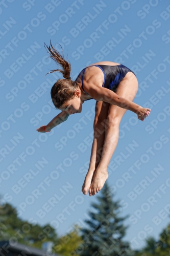 2017 - 8. Sofia Diving Cup 2017 - 8. Sofia Diving Cup 03012_08647.jpg