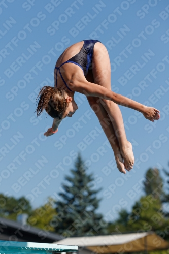 2017 - 8. Sofia Diving Cup 2017 - 8. Sofia Diving Cup 03012_08649.jpg