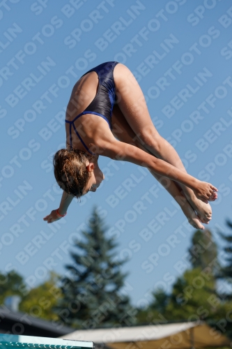 2017 - 8. Sofia Diving Cup 2017 - 8. Sofia Diving Cup 03012_08650.jpg