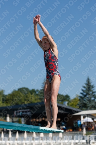 2017 - 8. Sofia Diving Cup 2017 - 8. Sofia Diving Cup 03012_08654.jpg