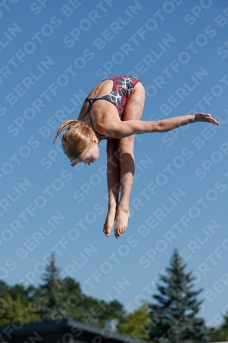 2017 - 8. Sofia Diving Cup 2017 - 8. Sofia Diving Cup 03012_08658.jpg