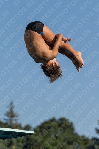 2017 - 8. Sofia Diving Cup 2017 - 8. Sofia Diving Cup 03012_08665.jpg