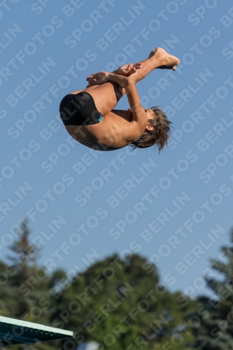 2017 - 8. Sofia Diving Cup 2017 - 8. Sofia Diving Cup 03012_08666.jpg