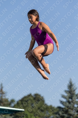 2017 - 8. Sofia Diving Cup 2017 - 8. Sofia Diving Cup 03012_08678.jpg