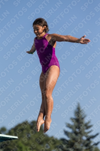 2017 - 8. Sofia Diving Cup 2017 - 8. Sofia Diving Cup 03012_08679.jpg