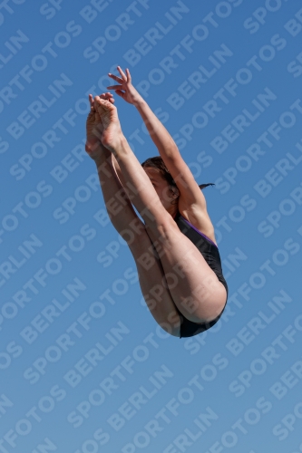 2017 - 8. Sofia Diving Cup 2017 - 8. Sofia Diving Cup 03012_08701.jpg