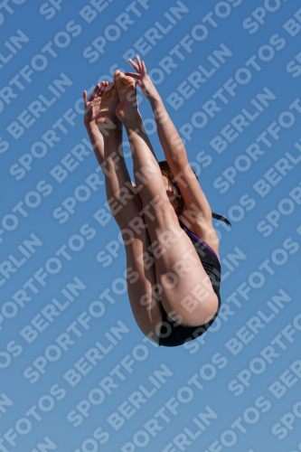 2017 - 8. Sofia Diving Cup 2017 - 8. Sofia Diving Cup 03012_08702.jpg
