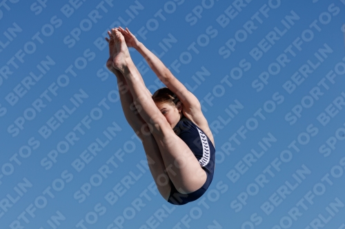 2017 - 8. Sofia Diving Cup 2017 - 8. Sofia Diving Cup 03012_08709.jpg