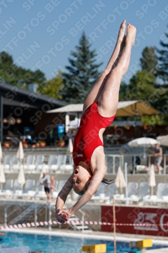 2017 - 8. Sofia Diving Cup 2017 - 8. Sofia Diving Cup 03012_08720.jpg