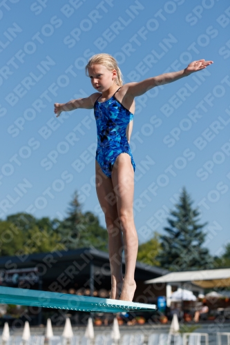 2017 - 8. Sofia Diving Cup 2017 - 8. Sofia Diving Cup 03012_08730.jpg
